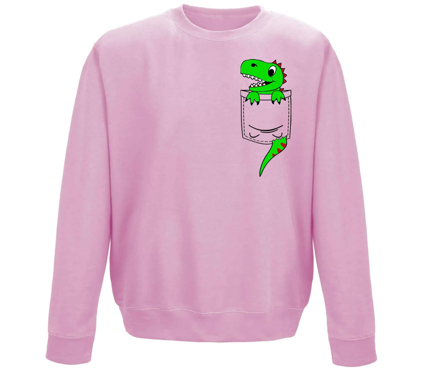 Dinosaur Pocket Print Childrens Sweatshirt