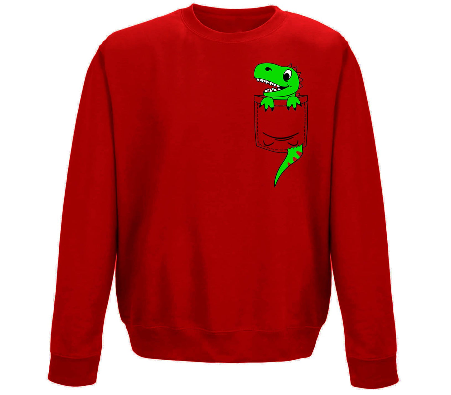 Dinosaur Pocket Print Childrens Sweatshirt
