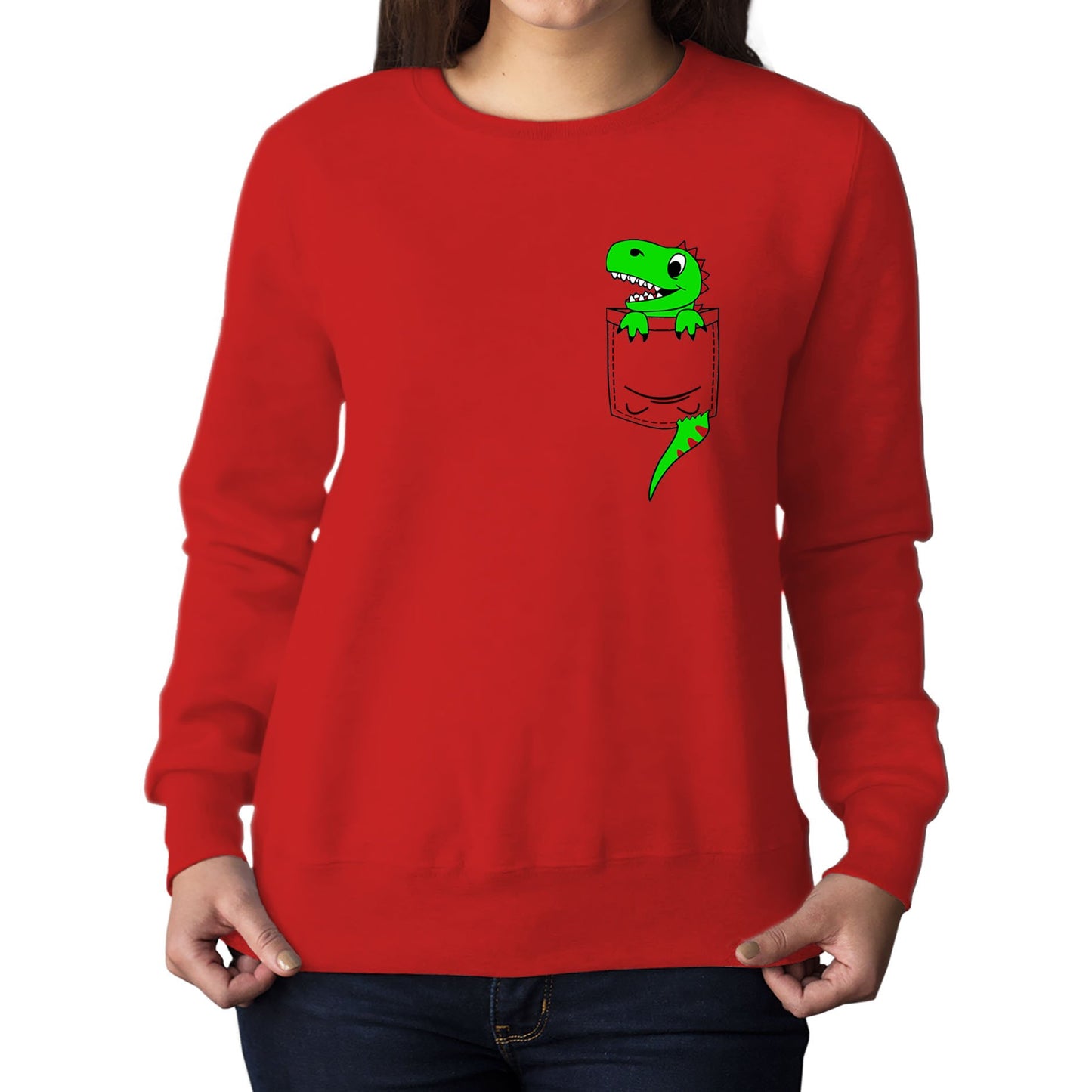 Dinosaur Pocket Print Womens Sweatshirt