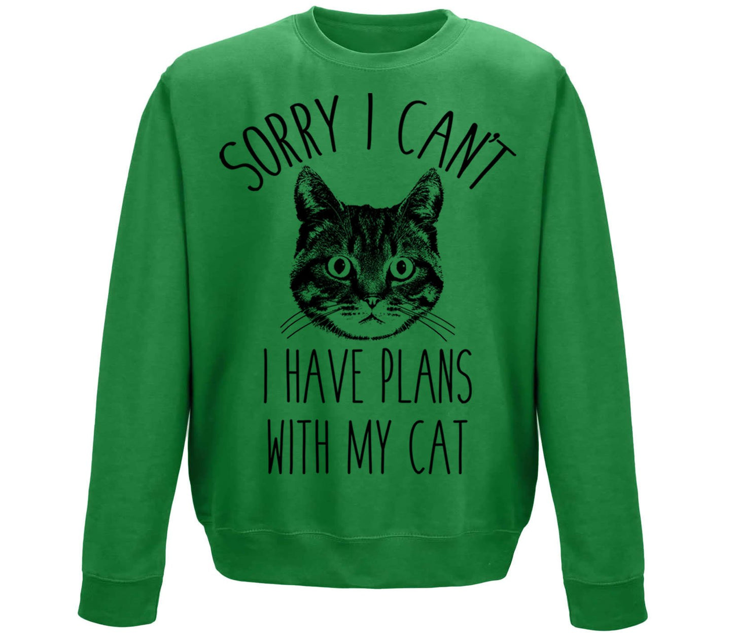 Cat Plans Childrens Sweatshirt