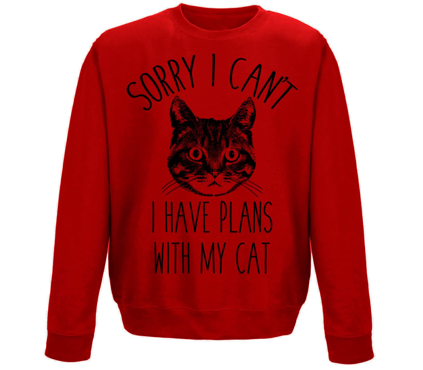 Cat Plans Childrens Sweatshirt