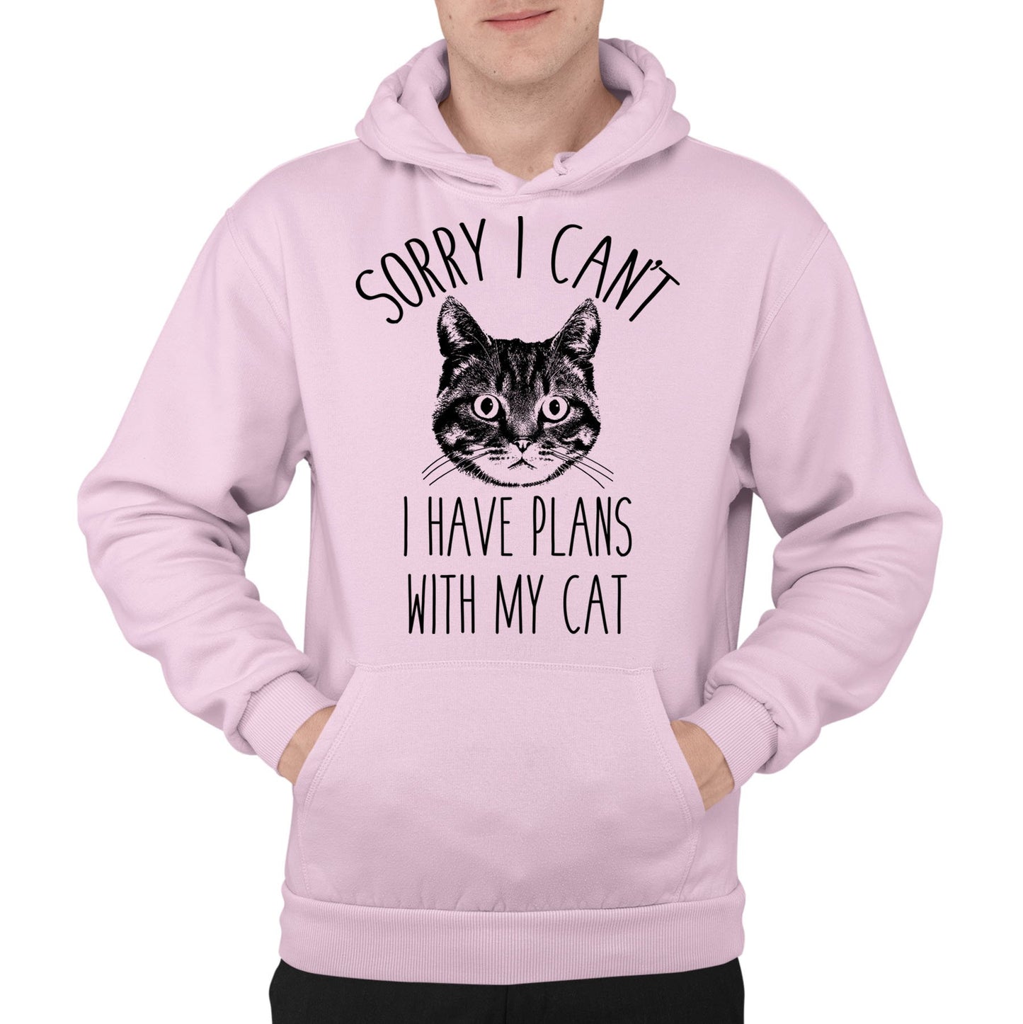 Cat Plans Mens Pullover Hoodie