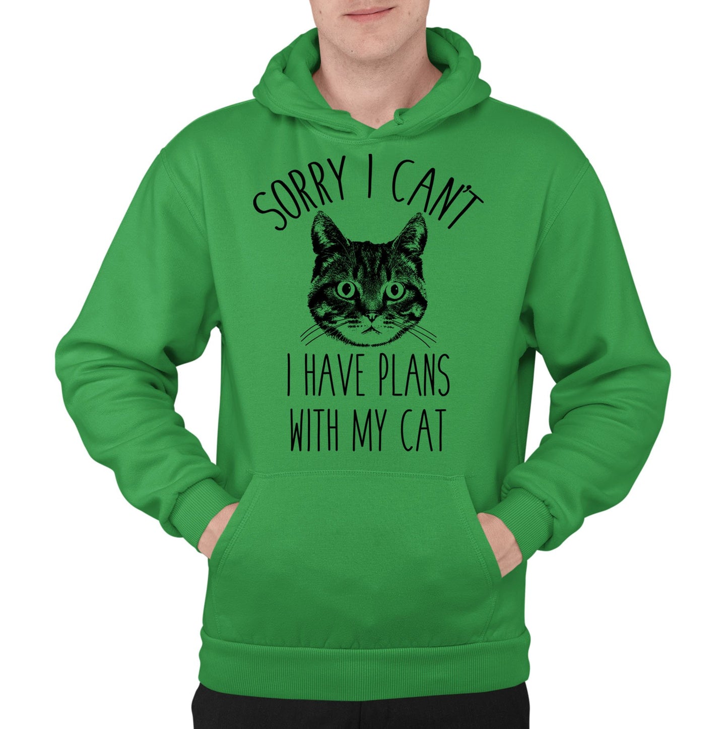 Cat Plans Mens Pullover Hoodie