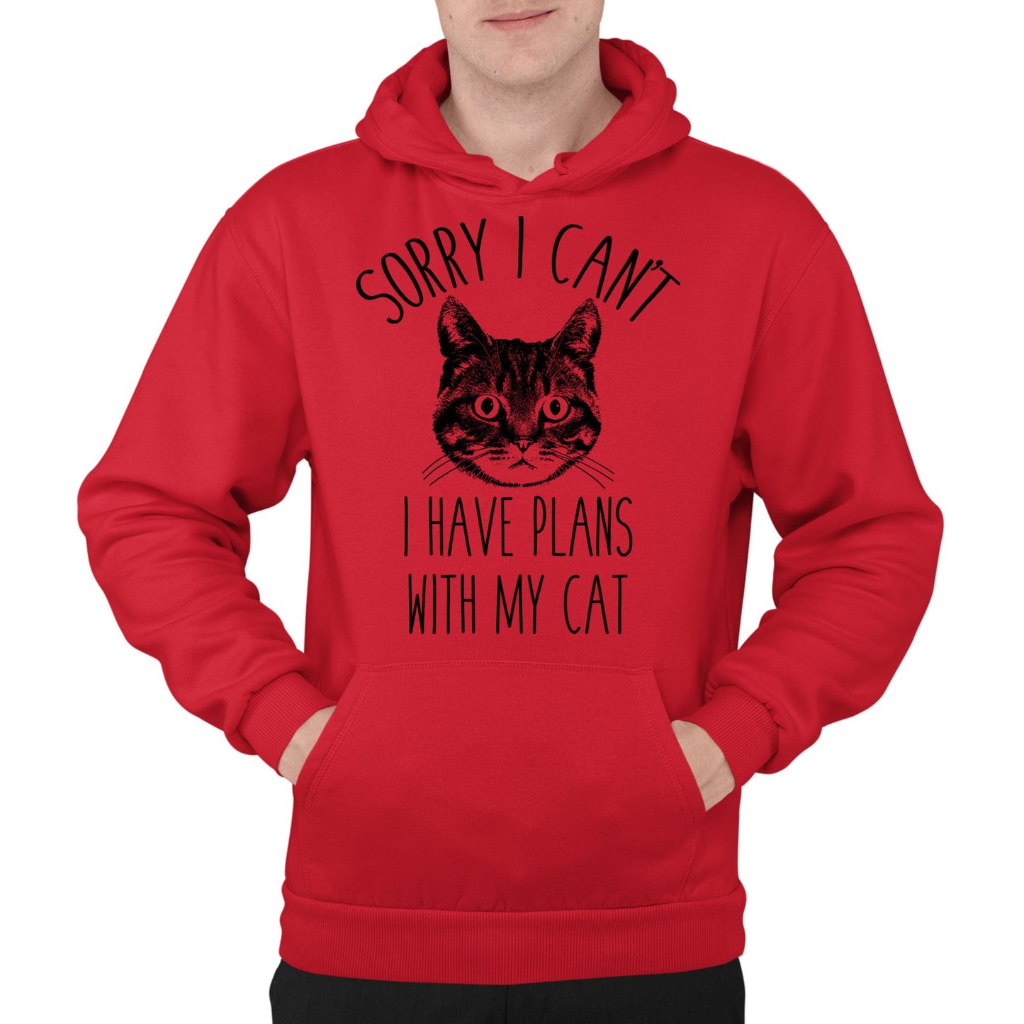 Cat Plans Mens Pullover Hoodie