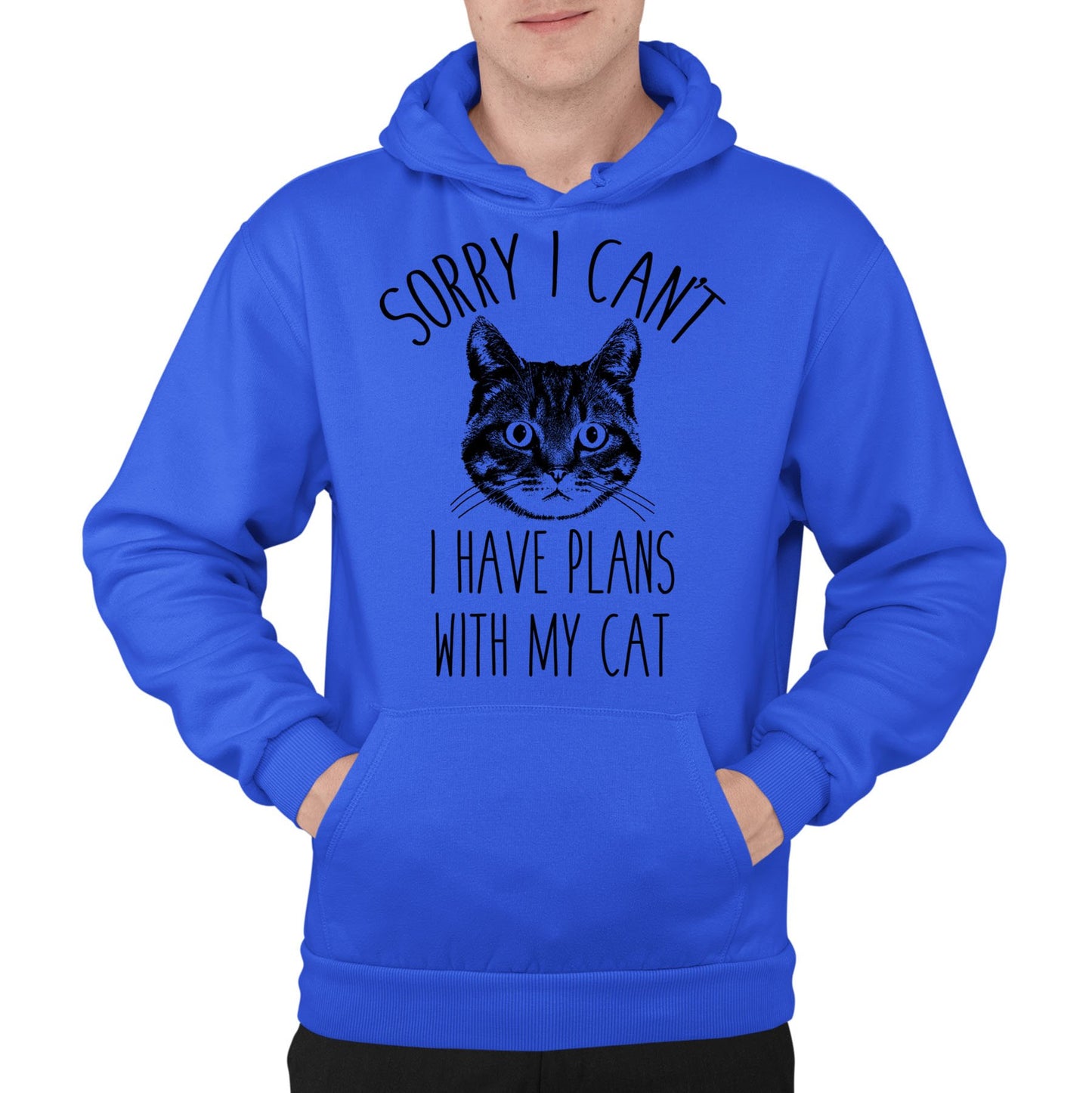 Cat Plans Mens Pullover Hoodie