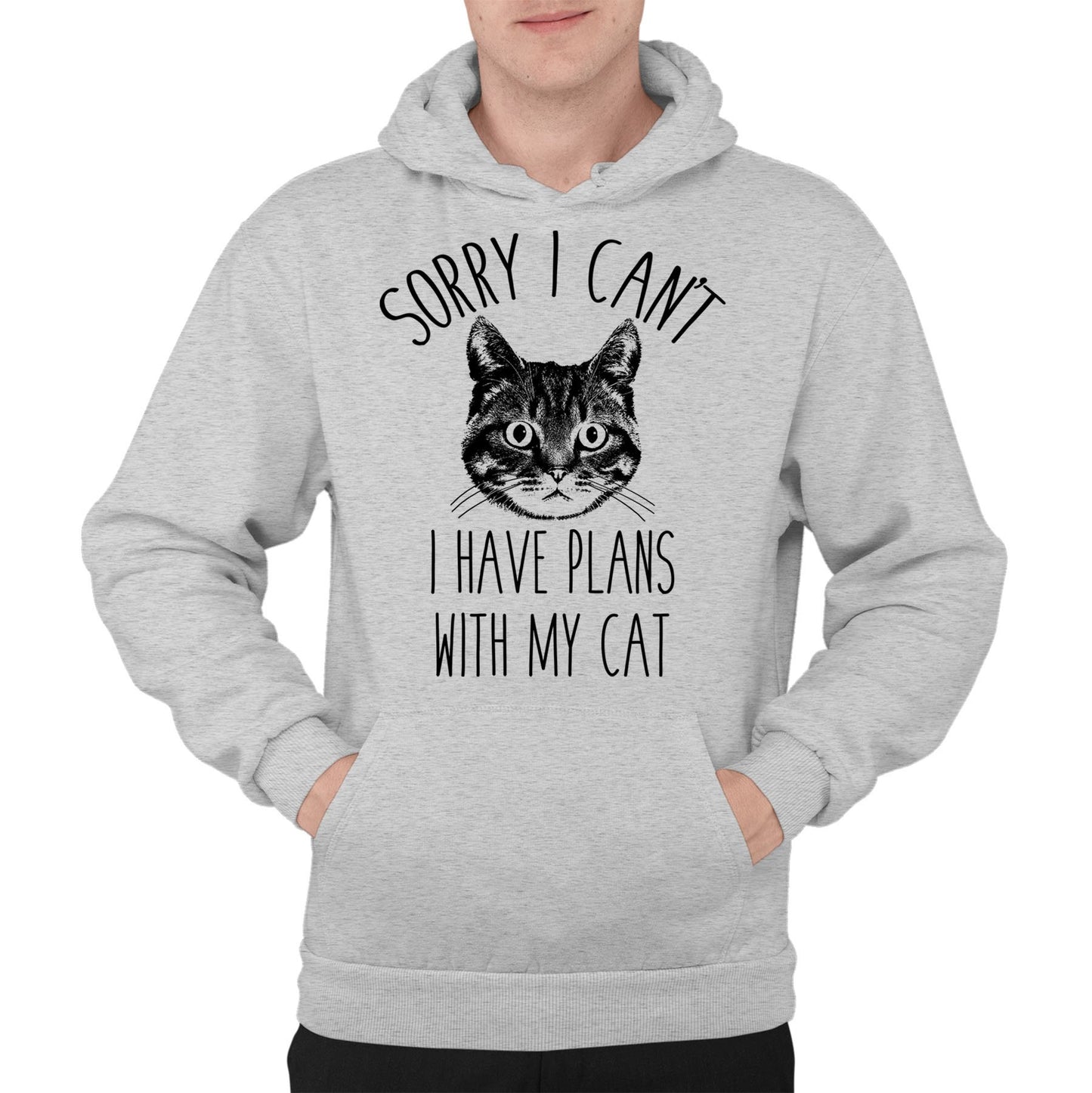 Cat Plans Mens Pullover Hoodie