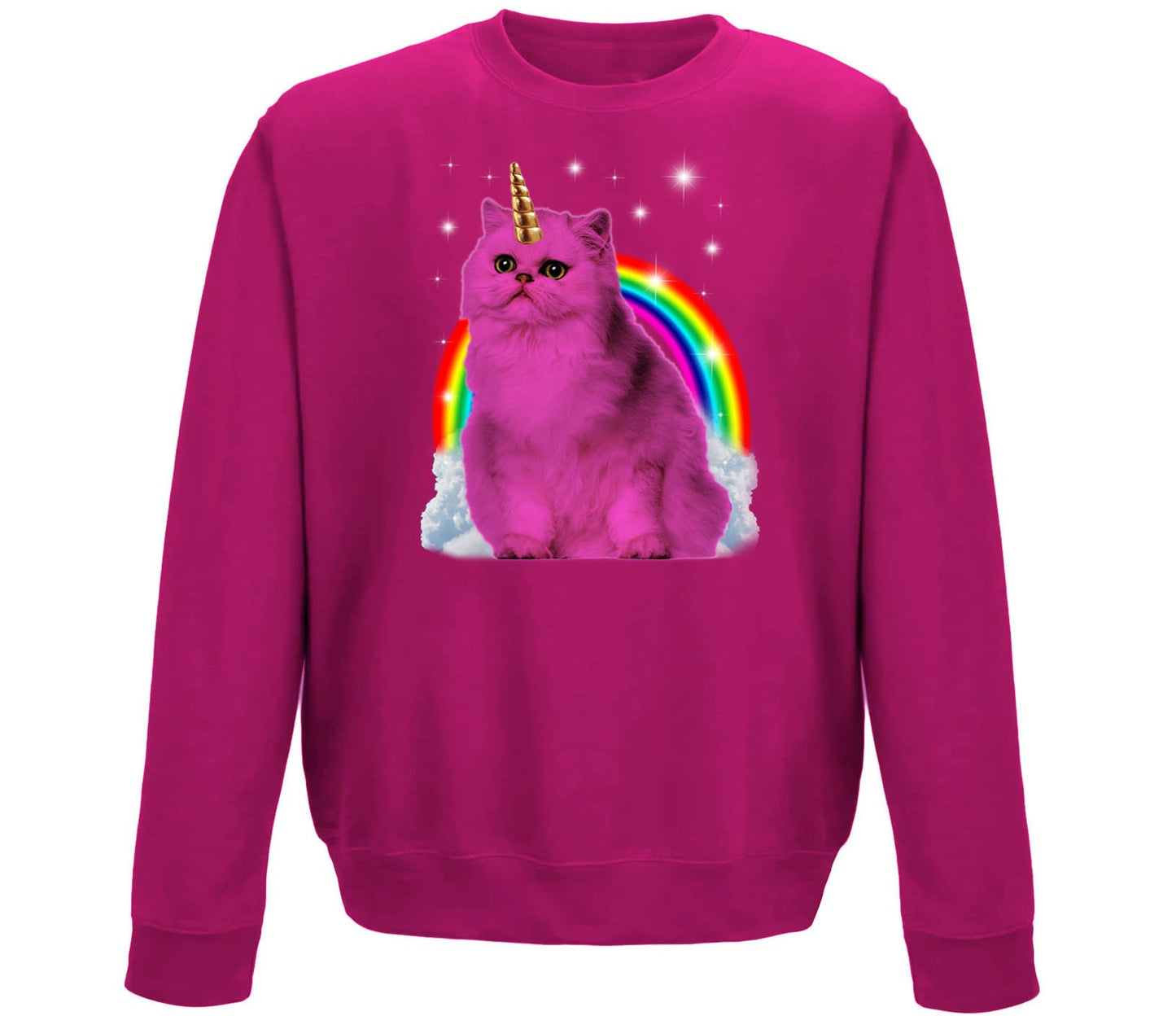 Unicorn Cat Childrens Sweatshirt