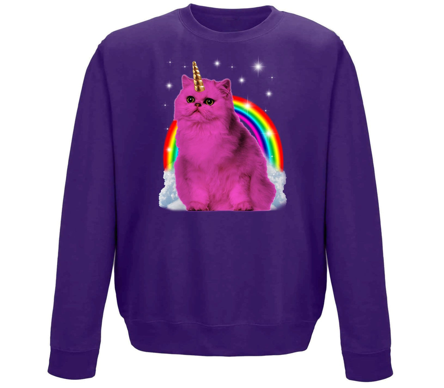 Unicorn Cat Childrens Sweatshirt