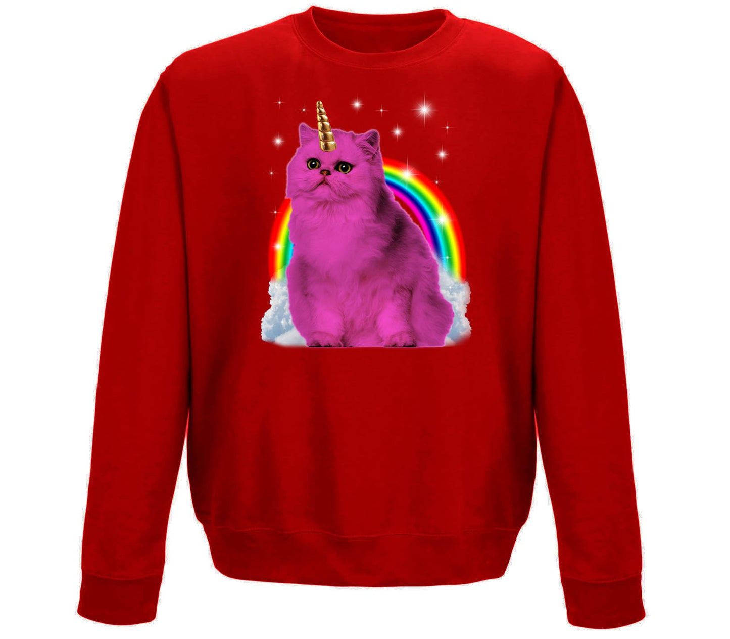 Unicorn Cat Childrens Sweatshirt