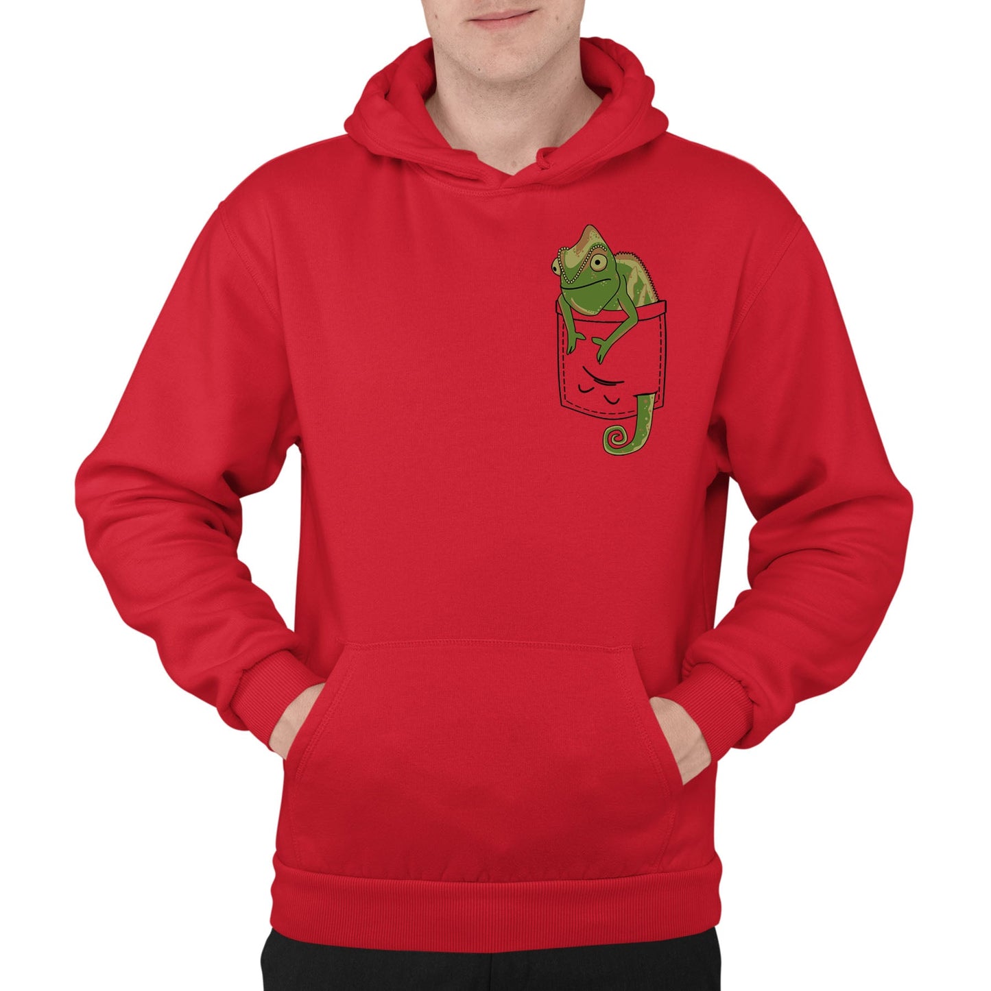 Chameleon Pocket Print Mens Pullover Hoodie