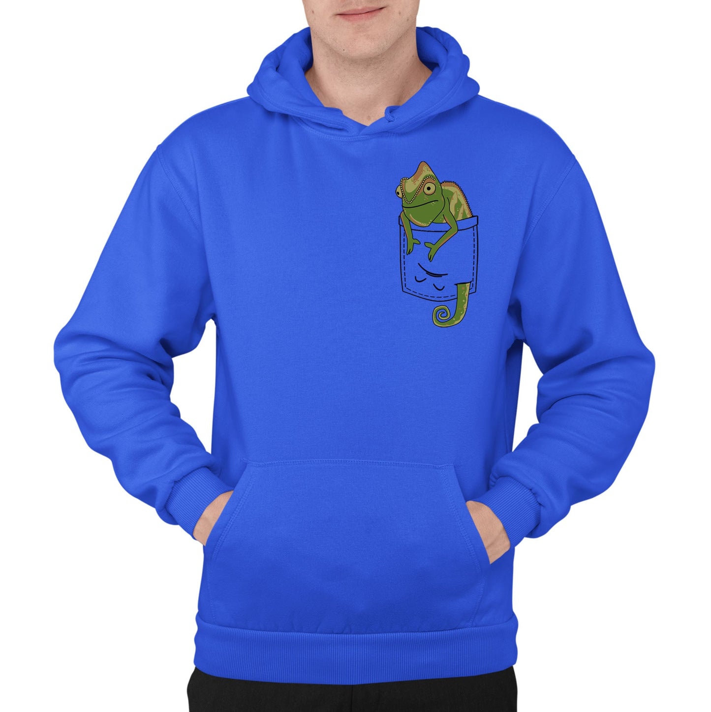 Chameleon Pocket Print Mens Pullover Hoodie