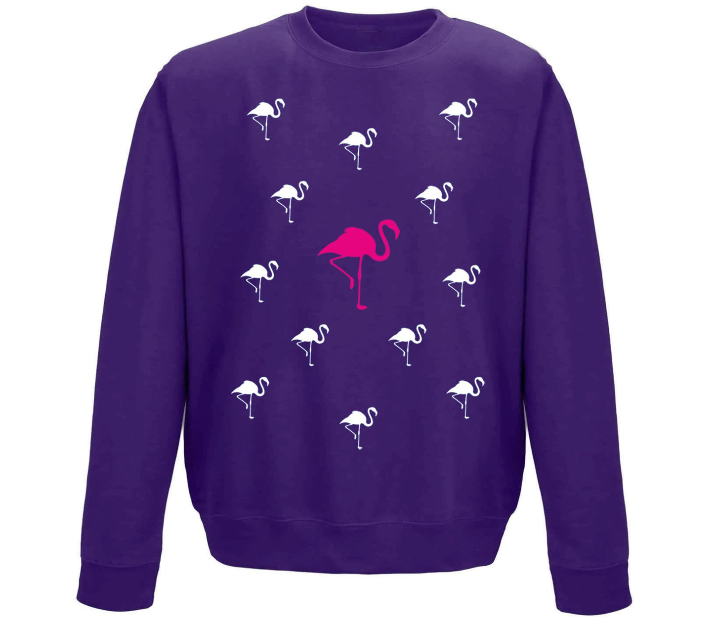 Flamingos Childrens Sweatshirt