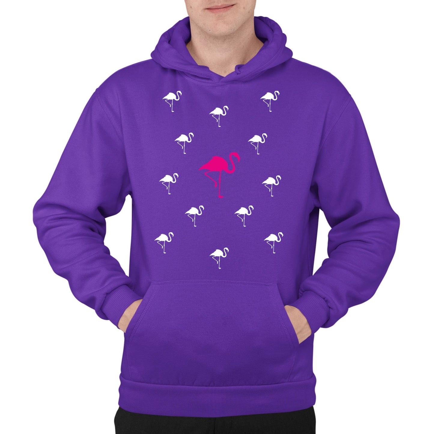 Flamingos Mens Pullover Hoodie