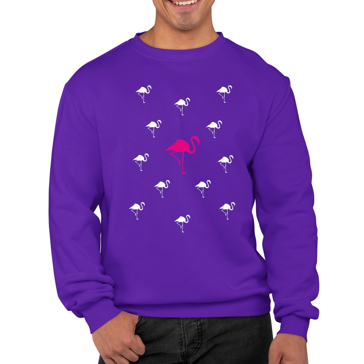 Flamingos Mens Sweatshirt