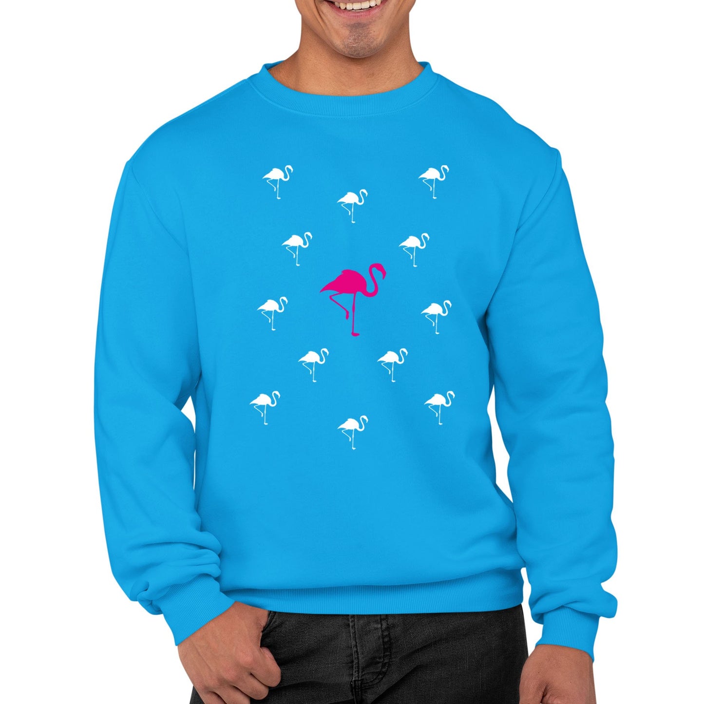 Flamingos Mens Sweatshirt