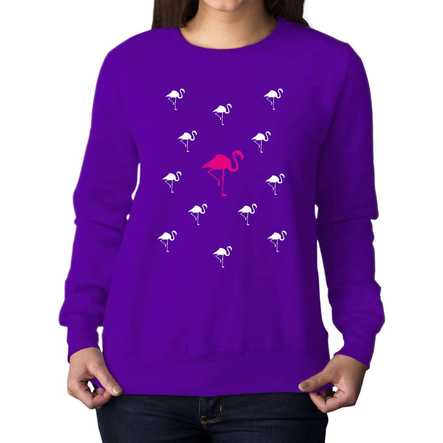 Flamingos Womens Sweatshirt