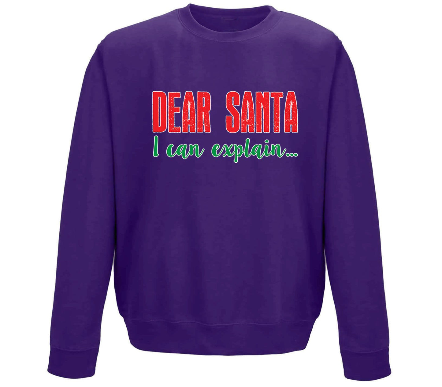 Dear Santa I Can Explain Funny Christmas Childrens Sweatshirt