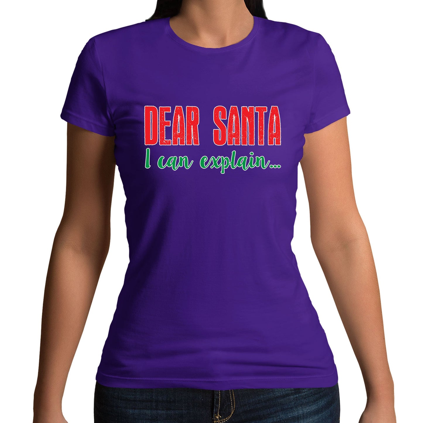 Dear Santa I Can Explain Funny Christmas Womens T-shirt