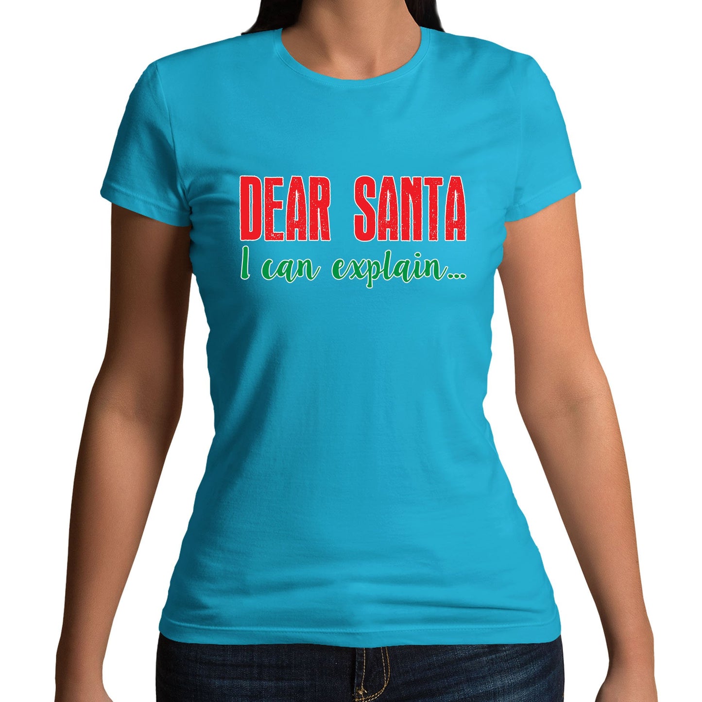 Dear Santa I Can Explain Funny Christmas Womens T-shirt